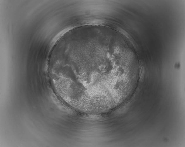 X0000112881074200909181843