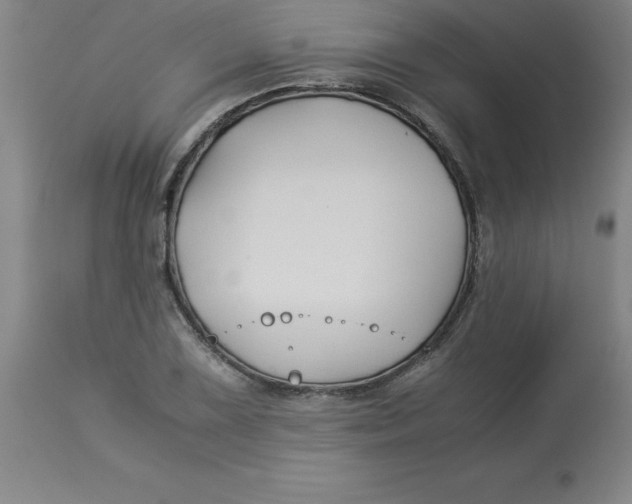 X0000112881075200909181843