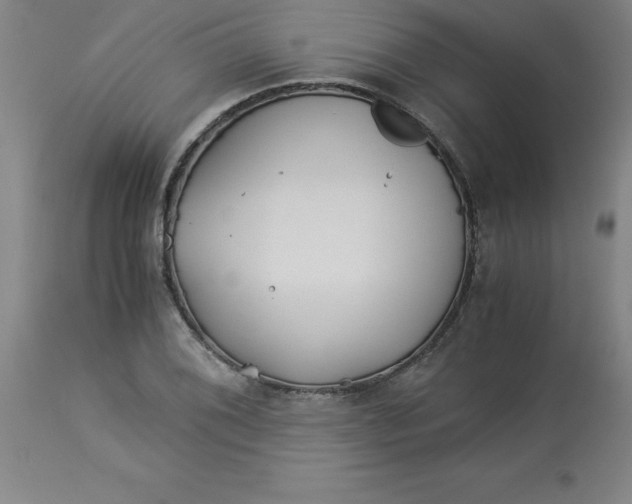 X0000112881076200909181843