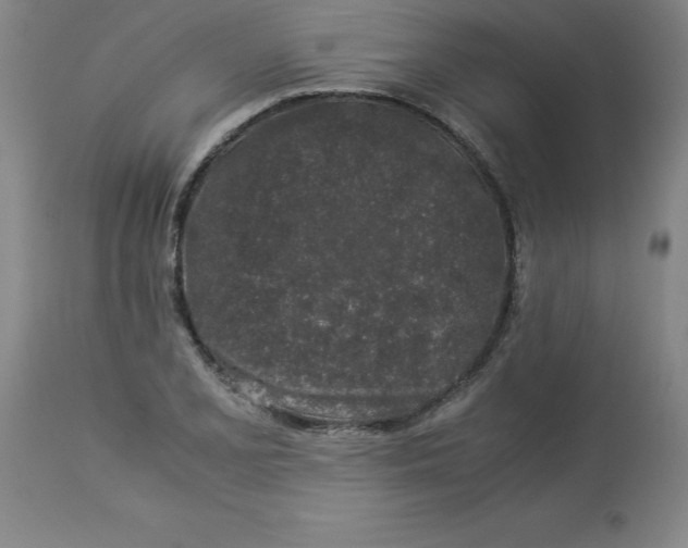 X0000112881077200909181843