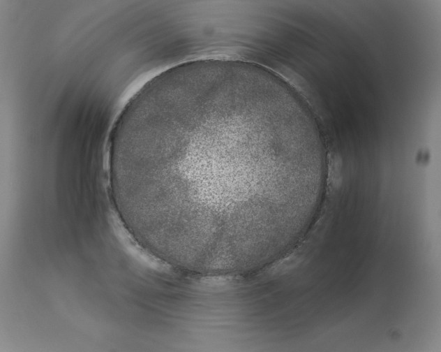 X0000112881078200909181843