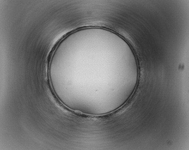 X0000112881079200909181843