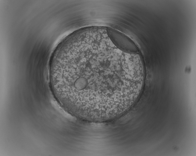 X0000112881080200909181843