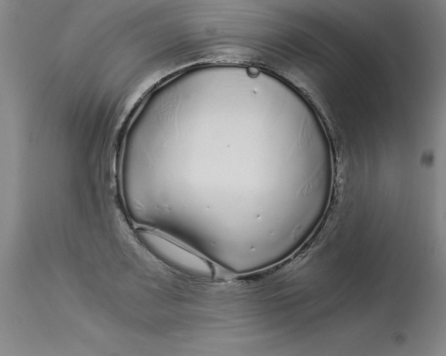 X0000112881083200909181843