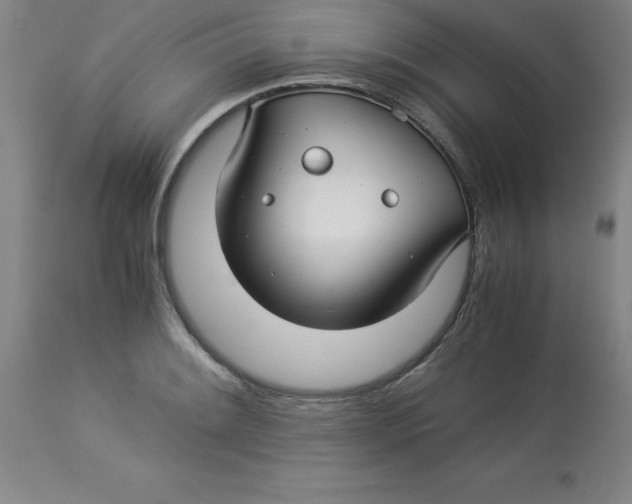 X0000112881084200909181843