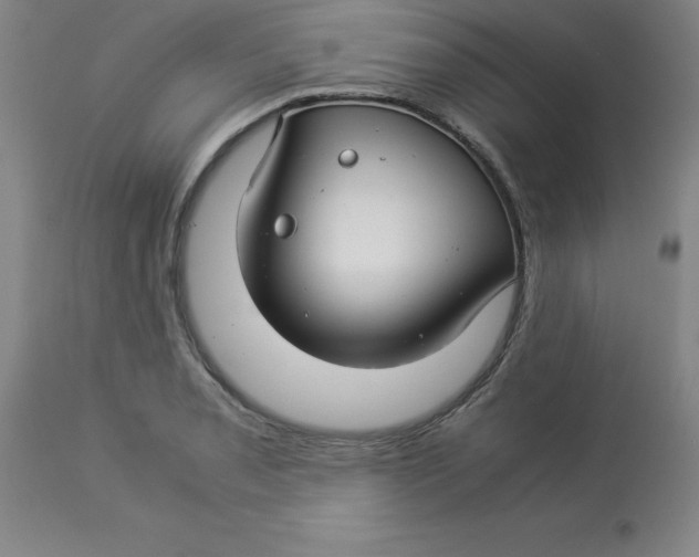 X0000112881085200909181843