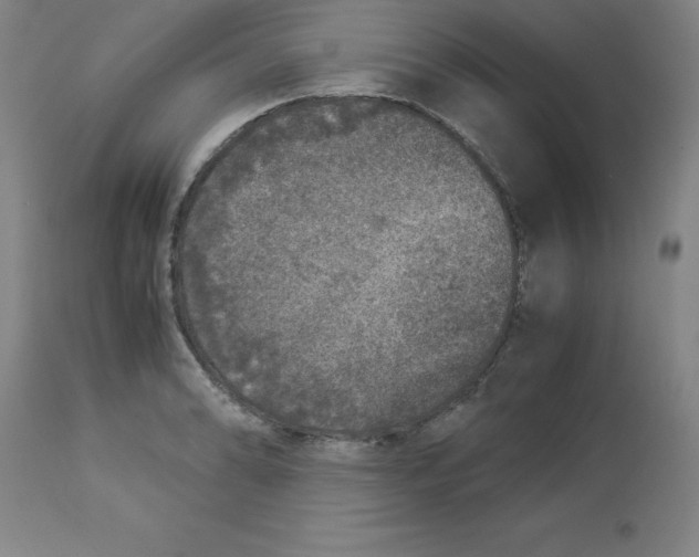 X0000112881086200909181843