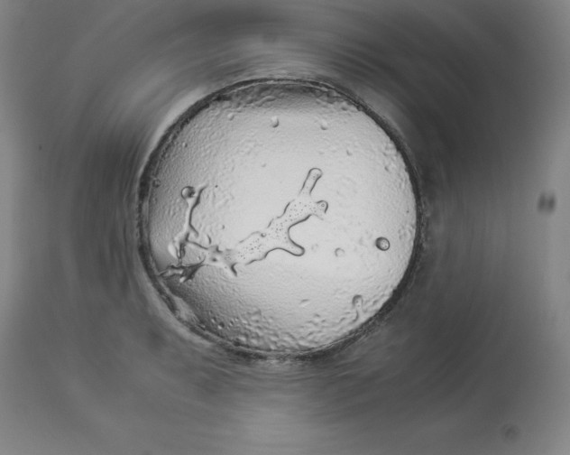 X0000112881087200909181842