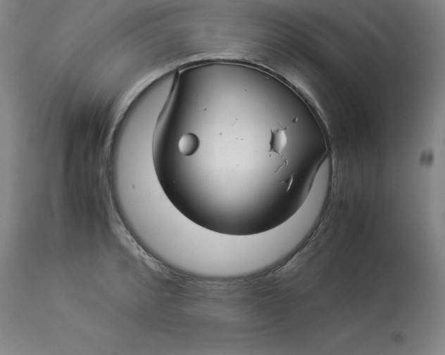 X0000112881088200909181842