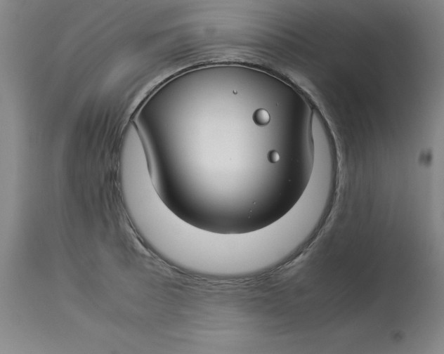 X0000112881089200909181842