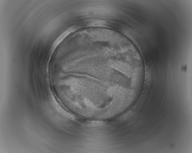 X0000112881090200909181842