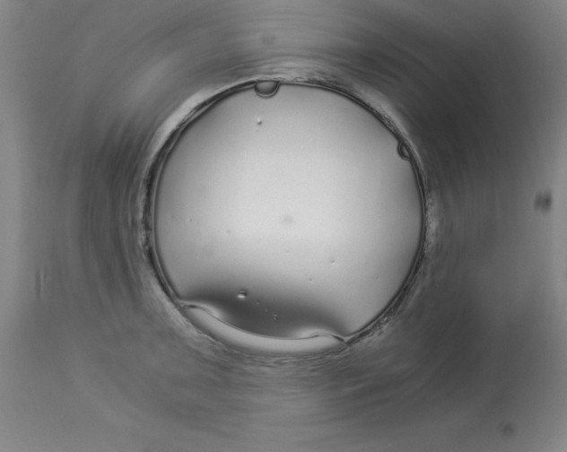 X0000112881091200909181842