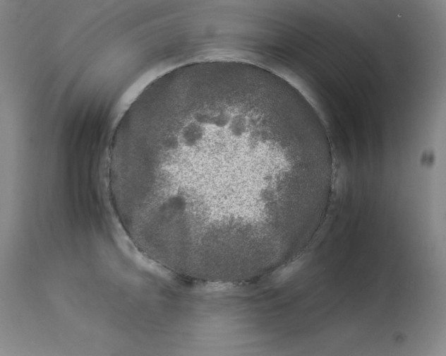 X0000112881094200909181842