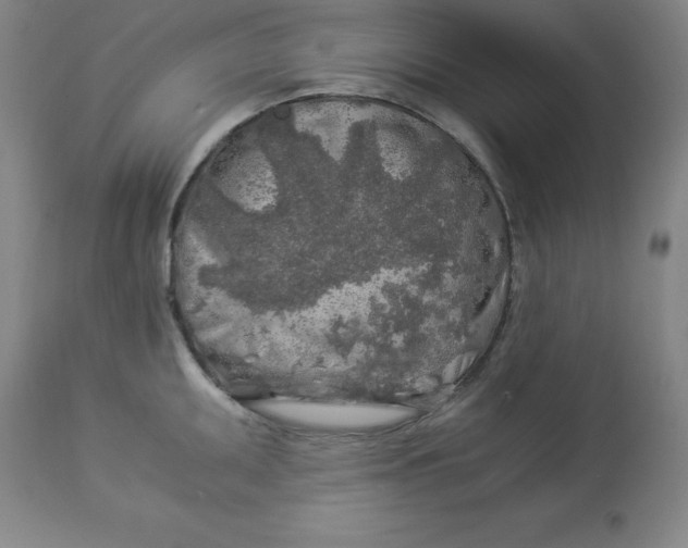 X0000112881095200909181842