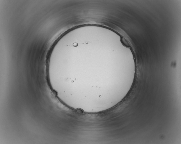 X0000112881096200909181842