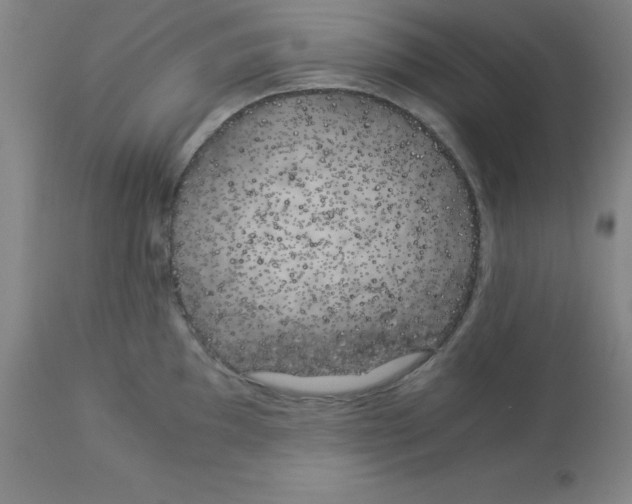 X0000112881097200909181842