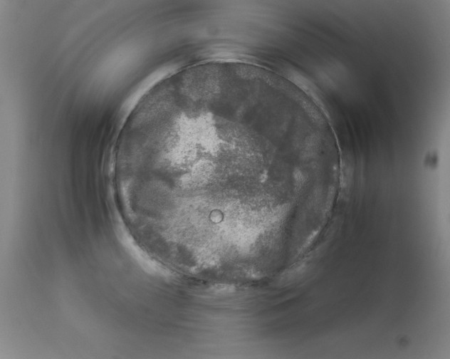 X0000112881098200909181842