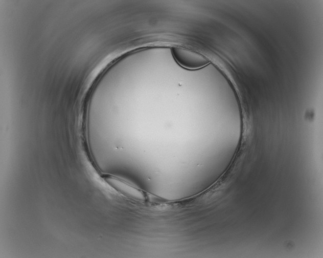 X0000112881099200909181842