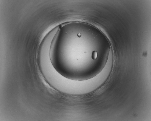 X0000112881101200909181842