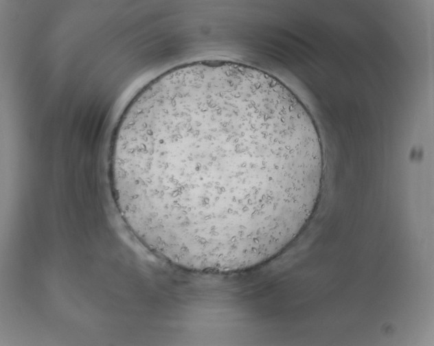 X0000112881104200909181842