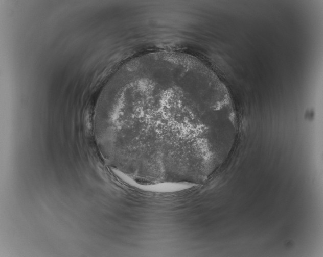 X0000112881106200909181841