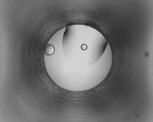 X0000112881108200909181842