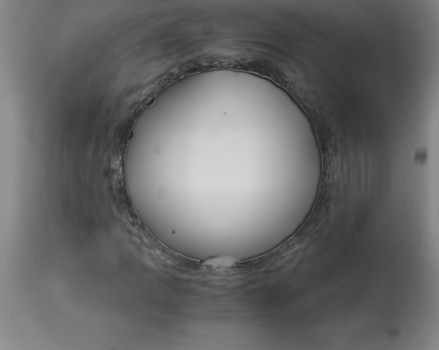 X0000112881109200909181842