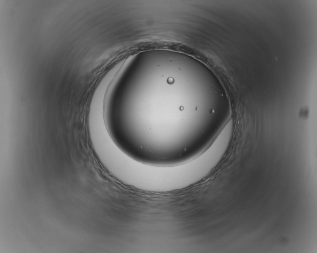 X0000112881110200909181842