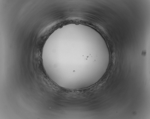 X0000112881111200909181842