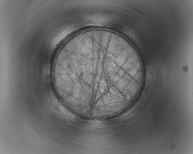 X0000112881114200909181842