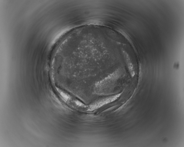 X0000112881115200909181842