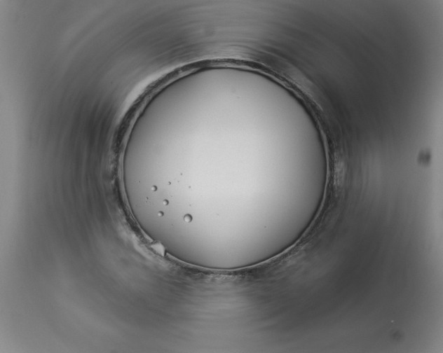 X0000112881116200909181842