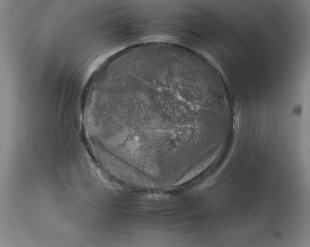 X0000112881117200909181842