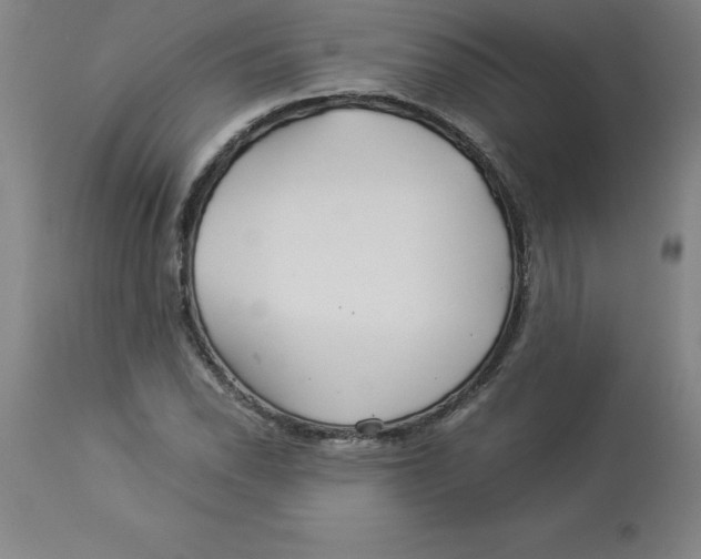 X0000112881118200909181842