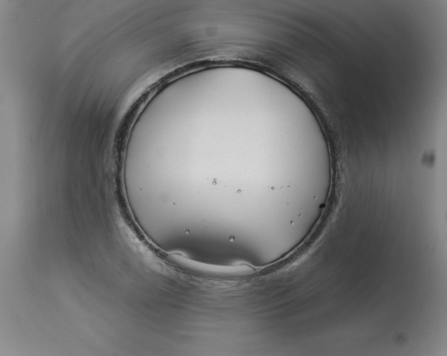 X0000112881122200909181842