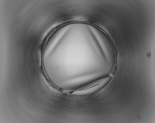 X0000112881123200909181842