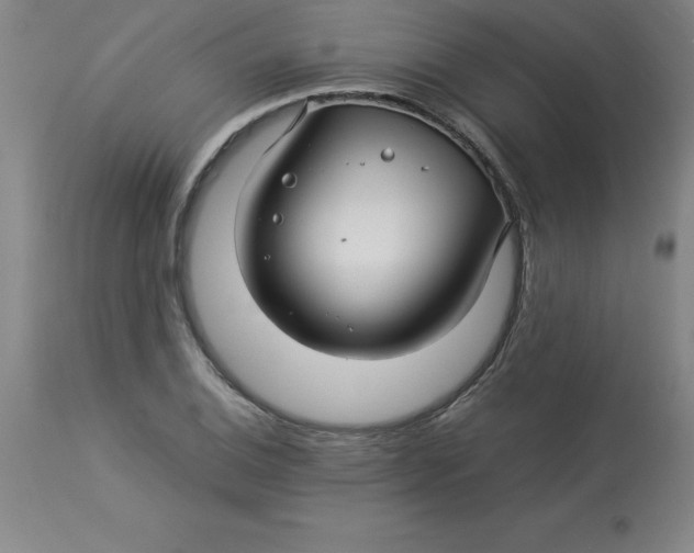 X0000112881124200909181842