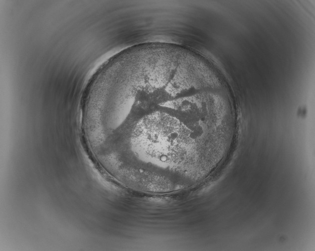 X0000112881125200909181842