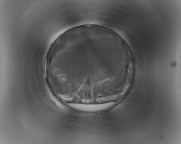 X0000112881127200909181842