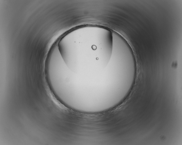 X0000112881128200909181842