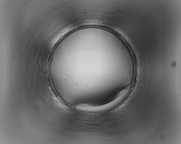 X0000112881129200909181842