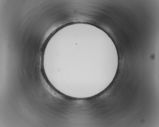 X0000112881130200909181842