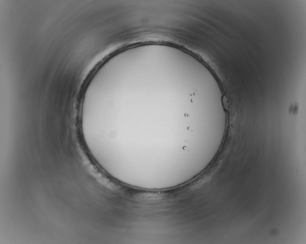 X0000112881134200909181842