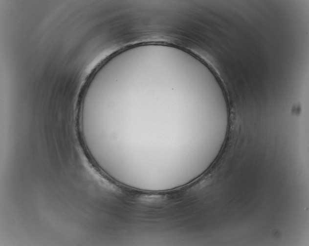 X0000112881135200909181842