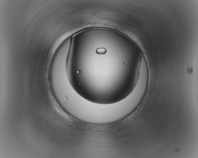 X0000112881136200909181842