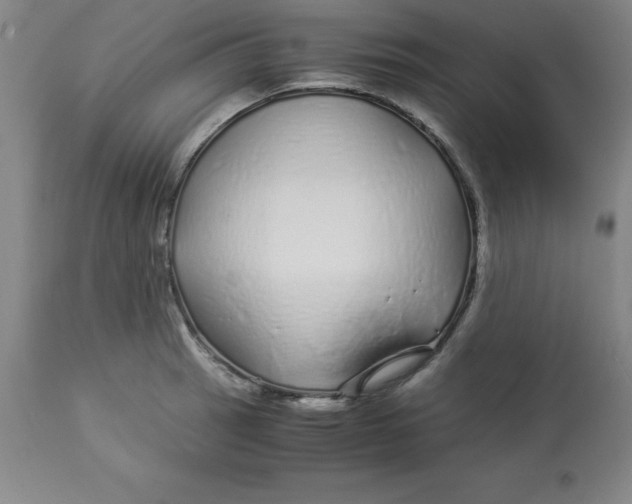 X0000112881137200909181842