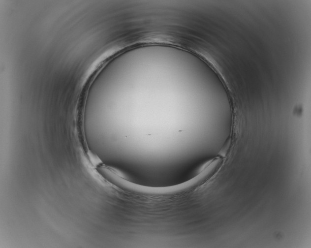 X0000112881139200909181842