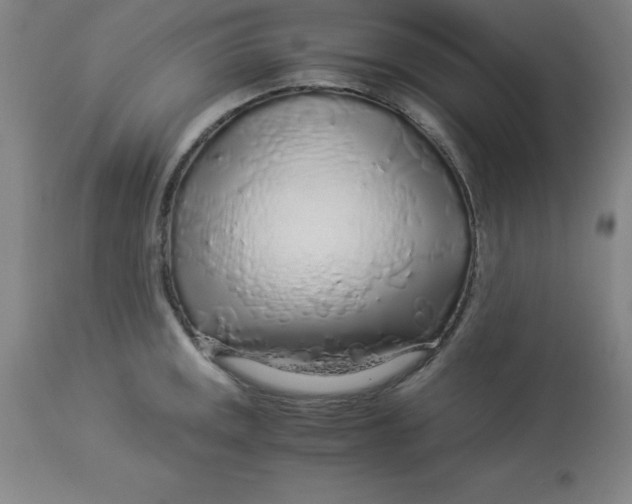 X0000112881141200909181842