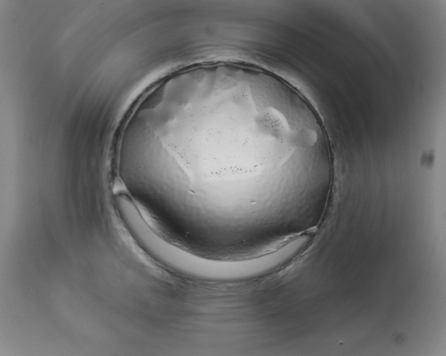 X0000112881142200909181842