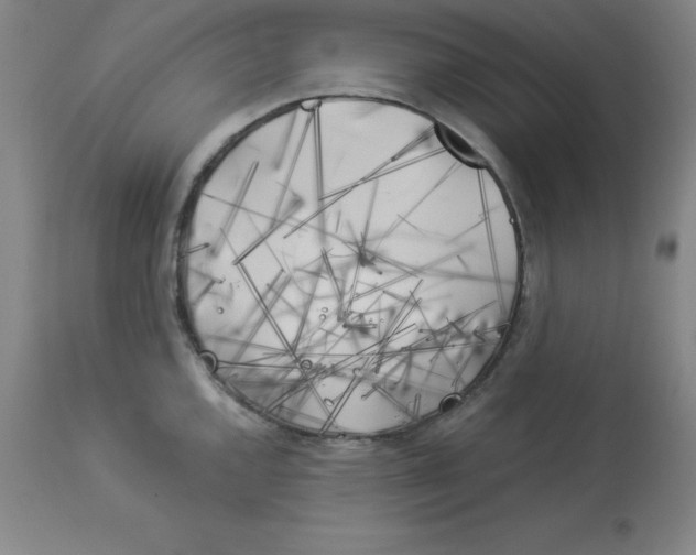 X0000112881144200909181842